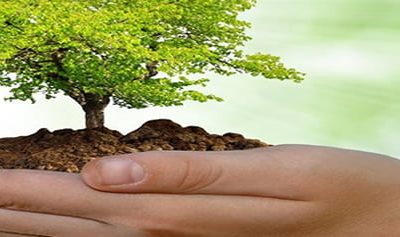 Alternativas ante la subida del impuesto de matriculación